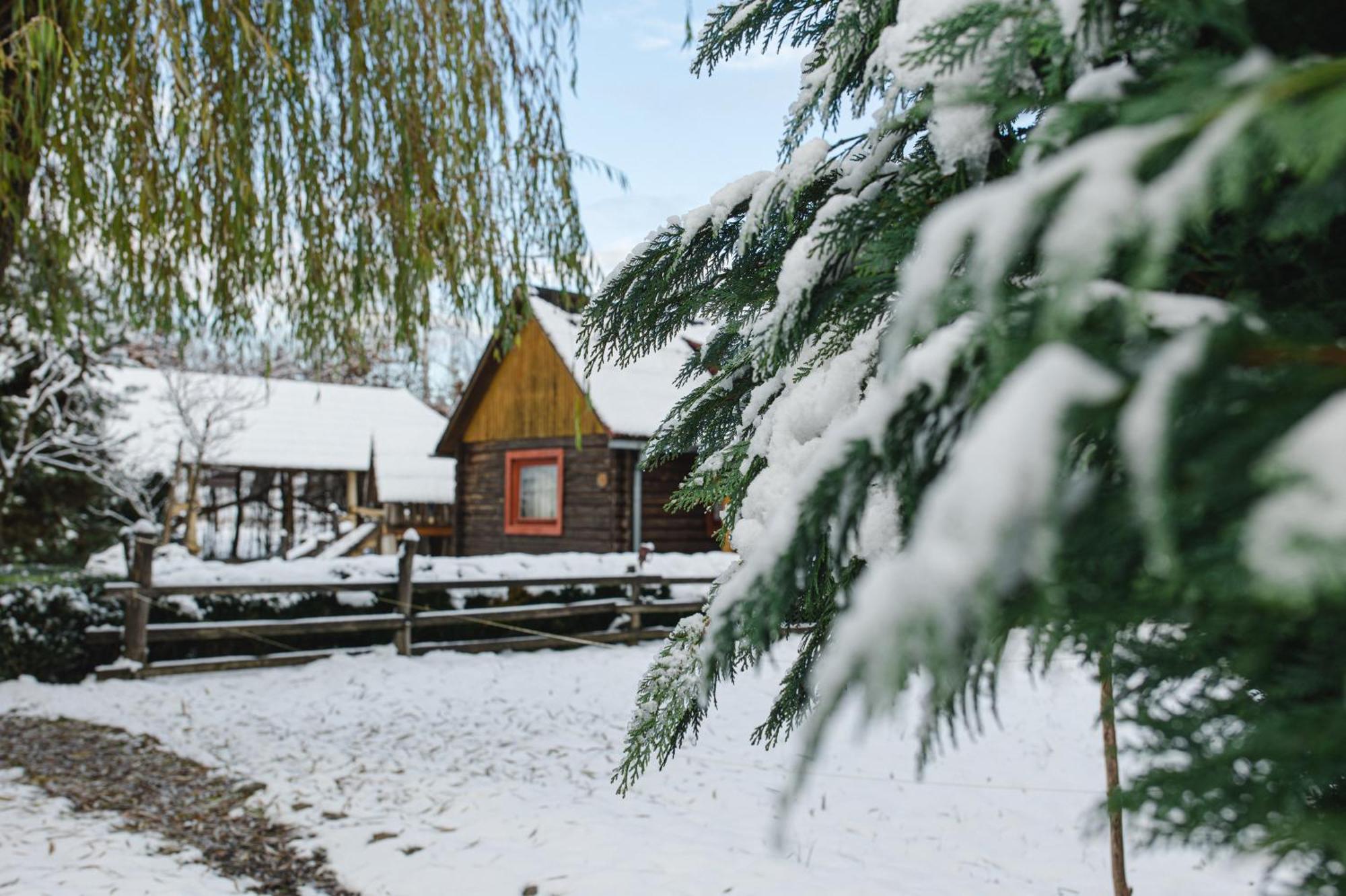 Hotel Kolyba Opryshkiv Nizhneye Selishche Exteriér fotografie